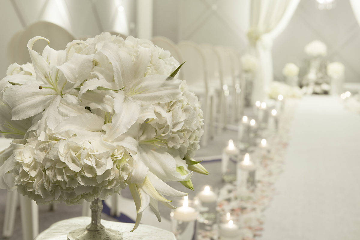 This is the image alt